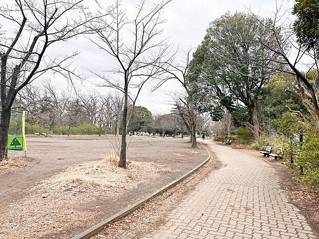 ■綱島公園…徒歩1分(84m)