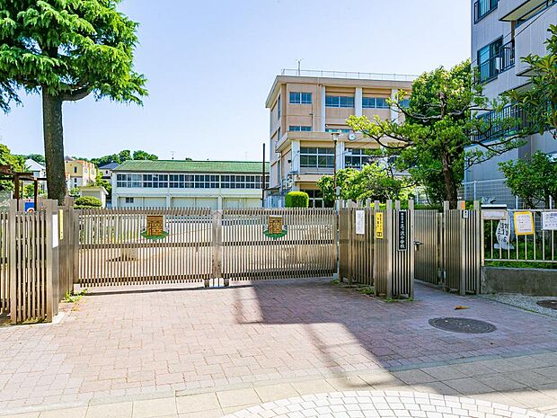 ■横浜市立三ツ沢小学校…徒歩12分(750m)