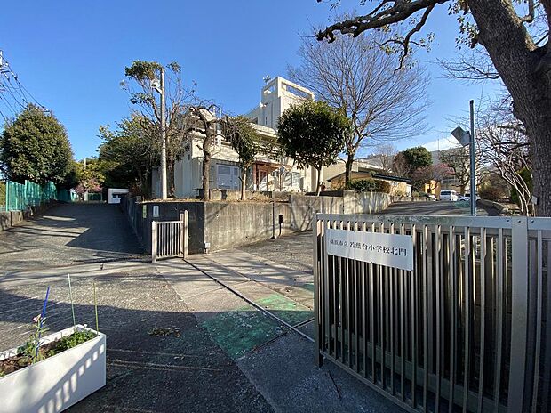 ■横浜市立若葉台小学校…徒歩11分(850m)