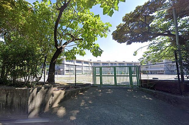 ■横須賀市立追浜小学校…徒歩12分(850m)