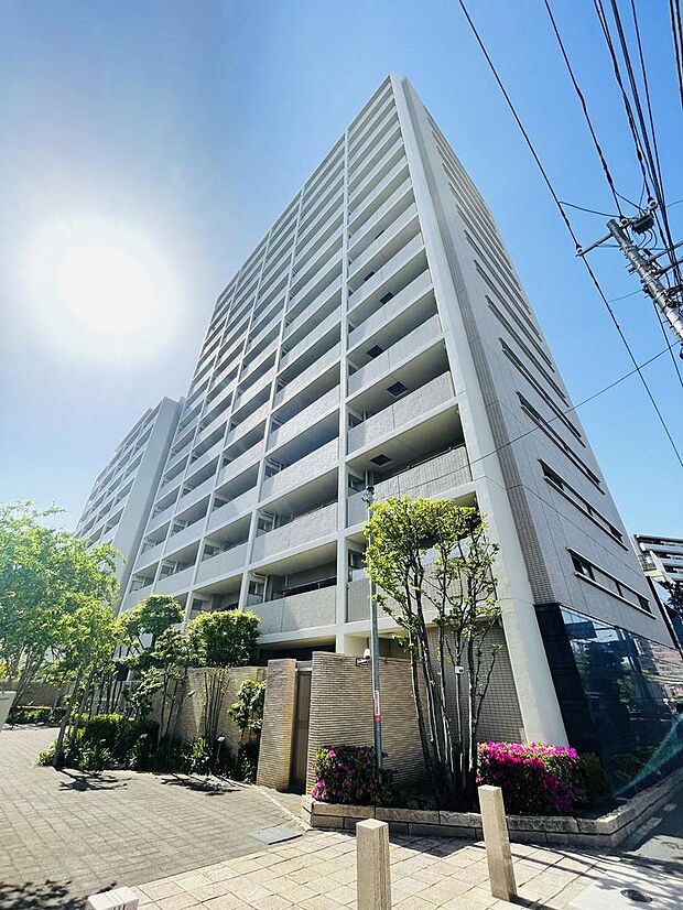 コスモシティガーデンズ東京EAST(2SLDK) 11階/11階の外観