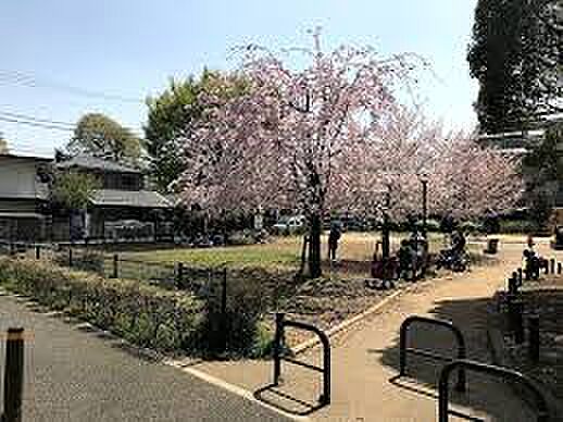 【公園】桜木ふれあい緑地まで1035ｍ