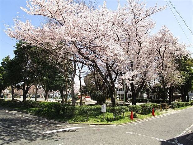 東前田第三公園　ブランコや鉄棒に加え、お子様が喜ぶ、お山の滑り台やグローブジャングルがあります。春には桜が綺麗です。 140m