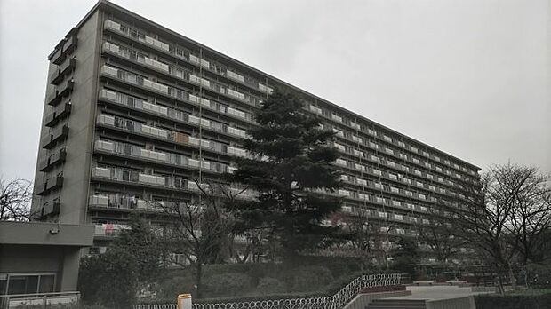             新松戸中央パークハウスＢ棟
  