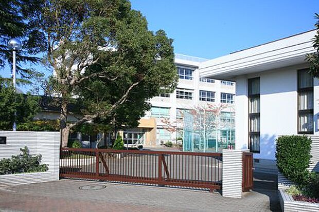 【中学校】横須賀市立追浜中学校まで848ｍ