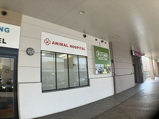 ペテモ明石店　動物病院ペットホテルも併設で安心 1050m