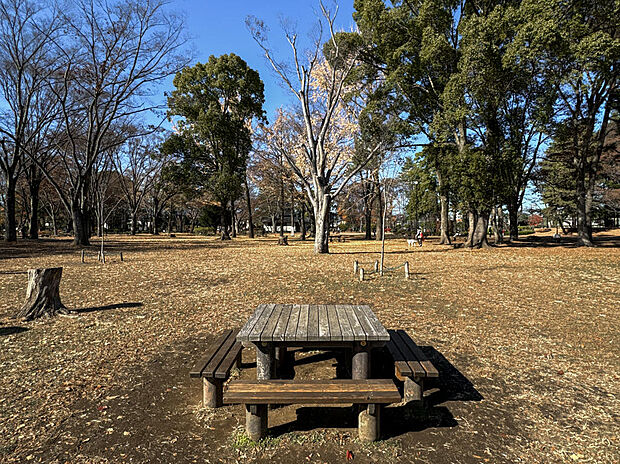わかぐさ公園まで310m ちょっとしたピクニック気分を楽しめる近所の中核公園。園内にはプールや野球場も併設されています。
