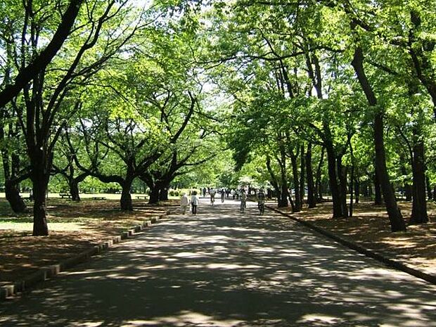 伝統受け継ぐサクラの名所「小金井公園」まで１３００ｍ。四季折々の花木を楽しむことができる小金井の人気スポットです。