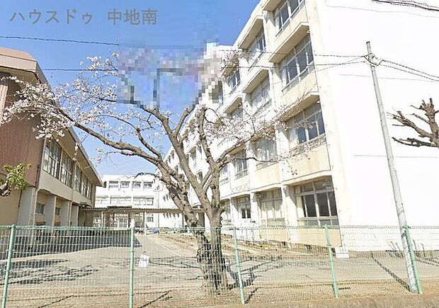 大津茂小学校 150m