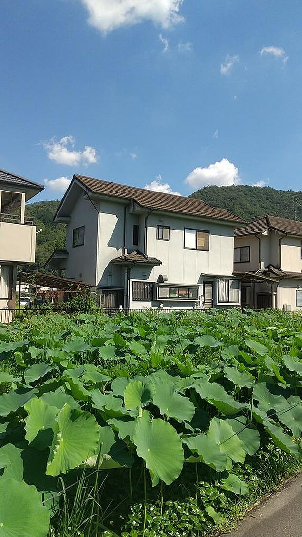 ＪＲ芸備線 志和口駅まで 徒歩23分(4LDK)のその他画像