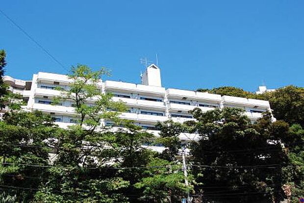                           ＪＲ東海道本線 熱海駅までバス約20分 七尾原バス停 徒歩4分
      
