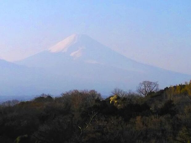 雄大な富士山を望みます