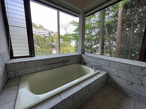 広い窓付きで自然豊かな眺望と別途費用で温泉を満喫できます