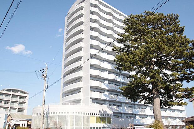 ＪＲ東海道本線 浜松駅まで 徒歩13分(1LDK) 7階の外観
