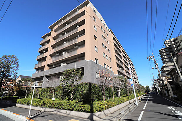 JR総武線「平井」駅徒歩8分　5階部分角住戸　4LDK　ペットと一緒に暮らせます（飼育細則有）