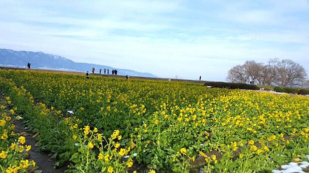 【公園】第一なぎさ公園まで1710ｍ