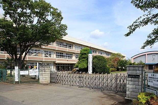 【小学校】蓮田中央小学校まで584ｍ