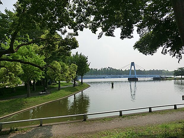 【水元公園】都内で唯一水郷の景観をもった公園です。花しょうぶ園、バーベキュー広場、滑り台、砦遊具などを備えた冒険広場など、幼児から大人まで楽しめます。