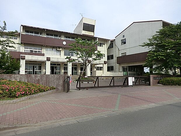 （新松戸南小学校）JR常磐線・武蔵野線新松戸駅より徒歩20分　のんびりして明るい雰囲気です。古い学校ですが、校舎はキレイに片付いています。