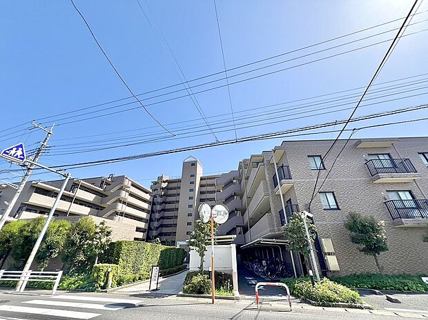 平成10年築の総戸数146戸のビックコミュニティマンション。麗澤大学周辺の緑豊かな町波みでペットライフを過ごすことができます。室内大変きれいにお使い頂いております。