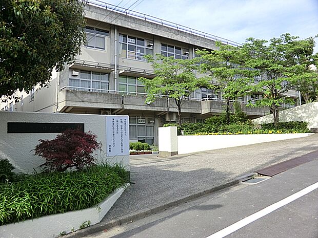 （松戸市立根木内中学校）1978年4月1日設立。比較的おとなしく落ち着いた学校です。自転車通学はできません。歩道が広く通学しやすい。校庭も広めだと思います