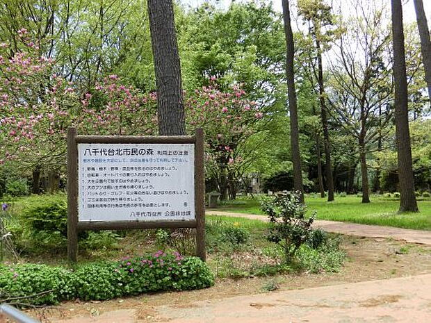【公園】八千代台北市民の森まで967ｍ