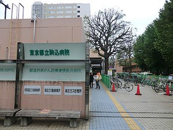周辺環境:東京都立駒込病院