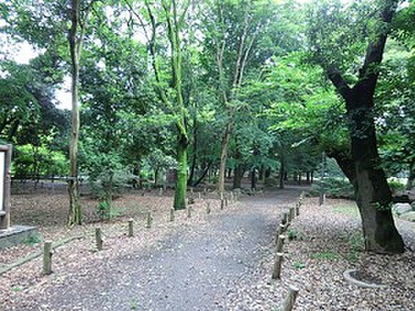 周辺環境:都立和田堀公園