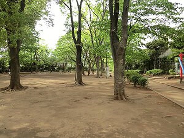 周辺環境:中央緑地公園