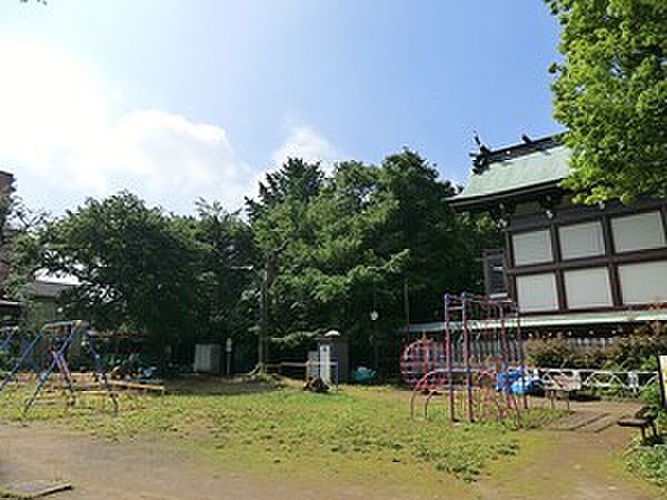 諏訪の森公園