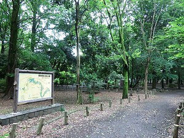 周辺環境:都立和田堀公園