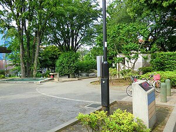 駒沢緑泉公園