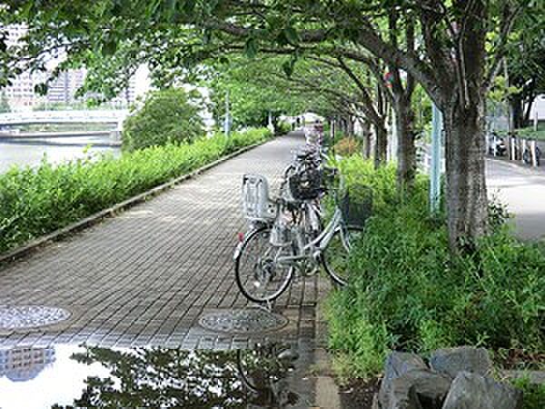 周辺環境:新川公園