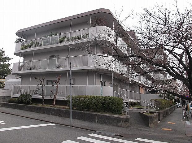 武庫川スカイハイツ(1SLDK) 2階の外観