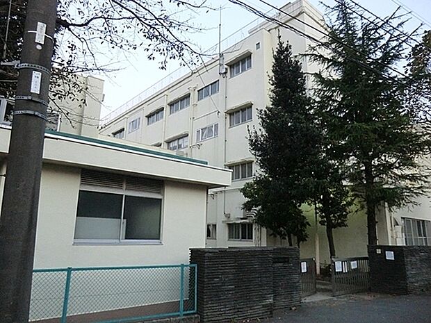 横浜市立常盤台小学校まで872m