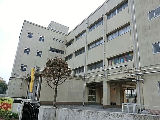 横浜市立飯島小学校まで429m