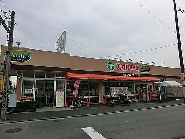 TAIRAYA八景島店まで1096m