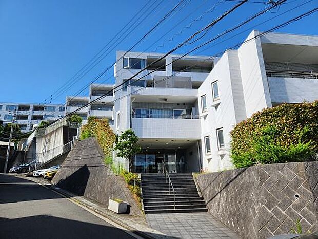 ペット飼育可(細則有)。オートロック、宅配ボックス完備の暮らしやすいマンションです。JR京浜東北線「山手」駅徒歩12分です。第1種低層住居専用地域内に立地の閑静な住宅街です。
