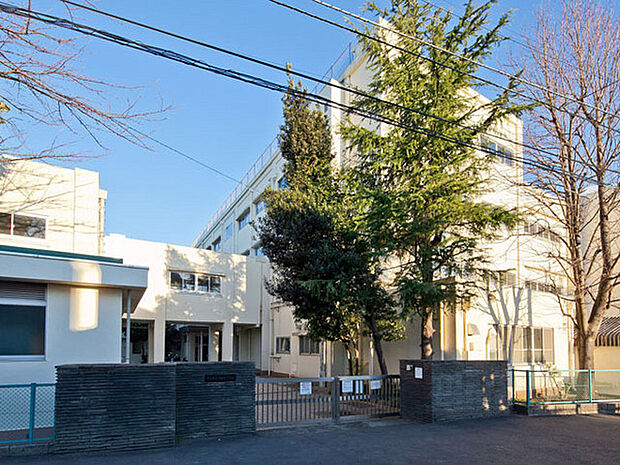 横浜市立常盤台小学校まで900m