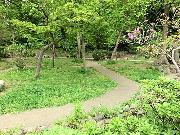 蒔田の森公園まで569m、小川が流れる小さな公園。そのままの自然を残しており、春には桜、秋にはもみじ、どんぐりの実を集めるのも楽しいですよ