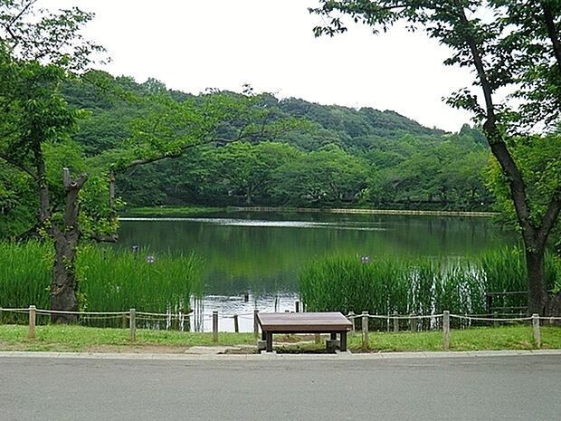 三ツ池公園まで999m、日本の「さくら名所100選」に選ばれている公園。またテニスコートなどの運動施設やパークセンターも備えた総合公園です。