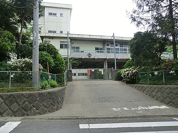 鎌倉市立山崎小学校まで1267m、源氏山や中央公園に山続きで行くことができる本校は、谷戸の自然と歴史に抱かれた、谷戸の恵みを四季に受ける学校です。