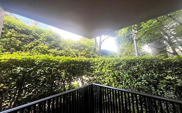 《眺望》■目の前には気持ちの良い緑の生け垣が、プライバシーも守られます。