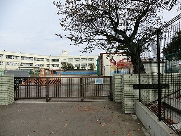 横浜市立白根小学校まで768m、昭和31年 4月 「横浜市立白根小学校」として独立 。　自ら学び、自分の考えを深める子を育てます。