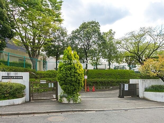 横浜市立もえぎ野中学校まで548m、もえぎ野中学校では3年間を通して平和について他中学よりも深く学んでいる。スクールカウンセラーに日々のお悩みを相談できます