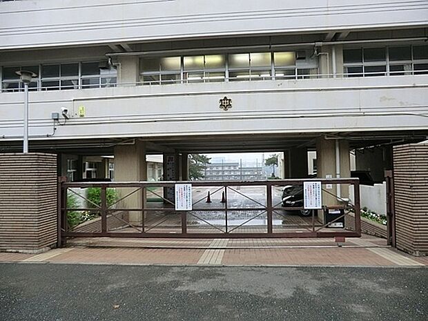 横浜市立浦島丘中学校まで1455m、学制改革により新制中学校として浦島小学校を借用して開校 　浦島伝説のある町