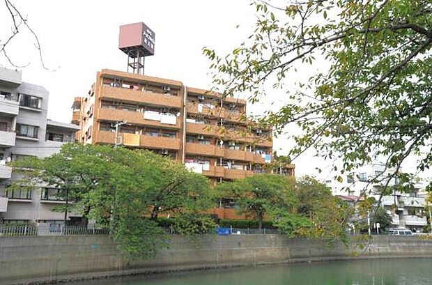 ニックアーバンハイム南太田(3DK) 5階のその他画像