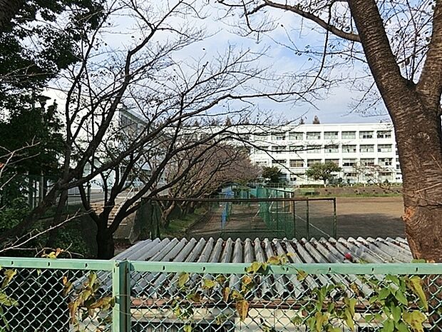 横浜市立都岡中学校まで2996m、学校教育目標は心豊かな人となれ　〜空へ続く校舎はスペアミントブルー〜