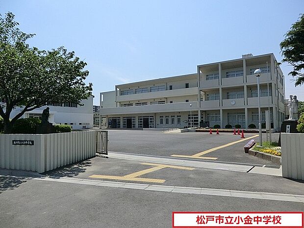 松戸市立小金中学校まで1056m、松戸市立小金中学校