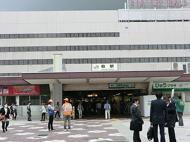 柏駅(JR 常磐線)まで1138m、JR常磐線、東武野田線の2路線利用可！